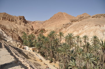 Chebika oasis in southern Tunisia.