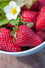 Fresh sweet strawberry