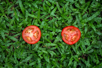 Fresh tomatoes sliced.