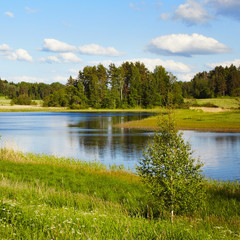Summer landscape