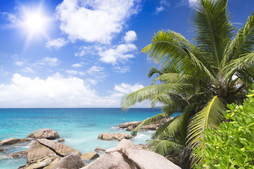 Plakat Koral biały piasek na plaży tropikalnych.