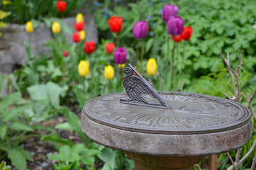 Sundial in tulip garden