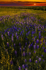 Obraz premium Sunset on Sugar Ridge Road