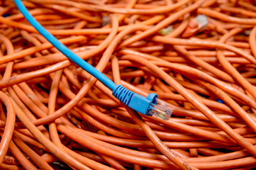 ethernet cables tangled blue and orange