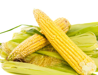 corn on the cob