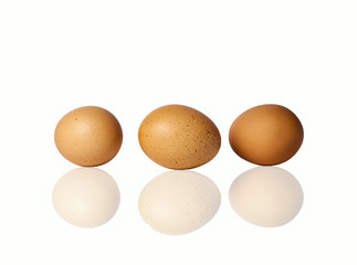egg food