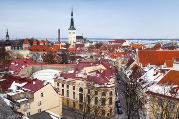 Old Tallinn panorama. Houses with red roofs