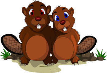 cute couple beaver cartoon - obrazy, fototapety, plakaty
