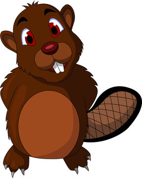 Beaver cartoon