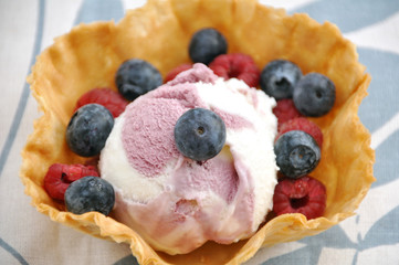 Heidelbeereiscreme mit Heidelbeeren