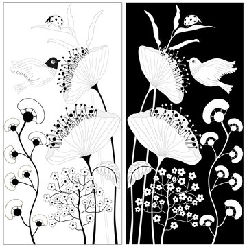 Black and white flowers
