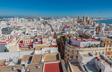 City roofs