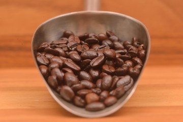 Coffee beans on a scoop
