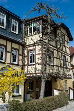 Schwarzburg
