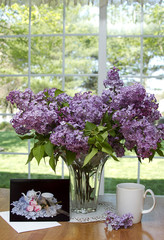 Lilacs and View