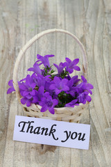 Thank you note and Campanula bell flowers in wicker basket