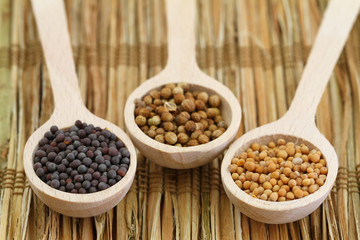 Mustard seeds and coriander seeds on wooden spoons