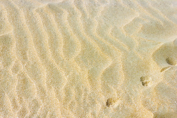 Sand Texture
