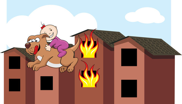 Dog rescuing baby