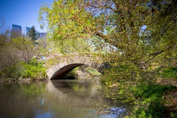 Stone Gapstow Bridge in Central Park New York City