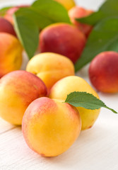 fresh peaches