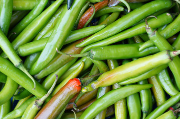 Red and green pepper