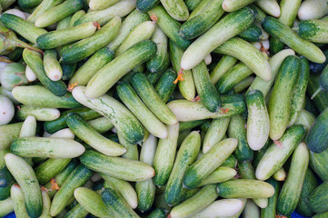 Green Cucumbers At Thailand Market .