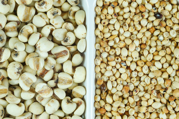 Close up of millet grain with Sorghum rice .