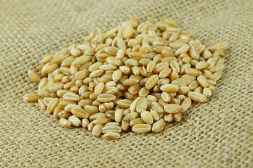 Grains of wheat on the sacks background.