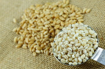 Barley in a spoon on the sacks background.