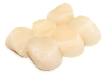 Deurstickers Heap of raw scallops isolated on white © Kondor83