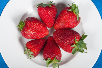 Fragole