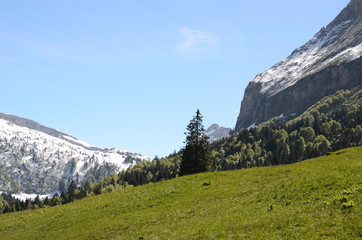 Fototapeta na wymiar Spring in Switzerland