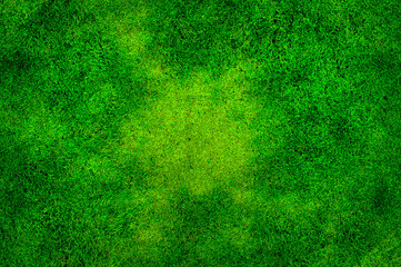 Zielona trawa - obrazy, fototapety, plakaty