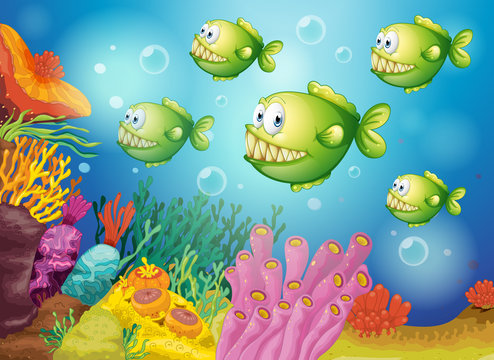 A group of green piranhas under the sea