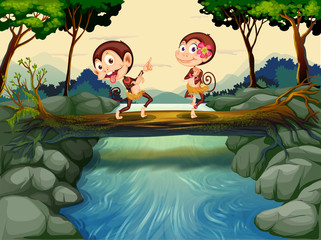 Two monkeys dancing while crossing the river