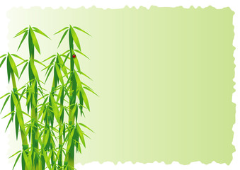 Bamboo decorative element vector background