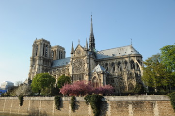 Notre Dame de Paris - obrazy, fototapety, plakaty