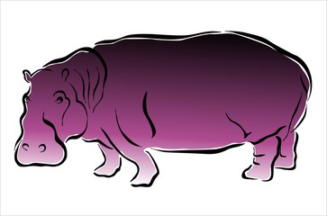 hipopótamo morado