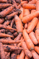 Carrot on the market.