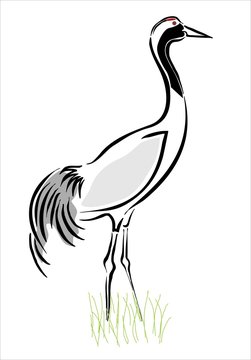 grulla en el campo