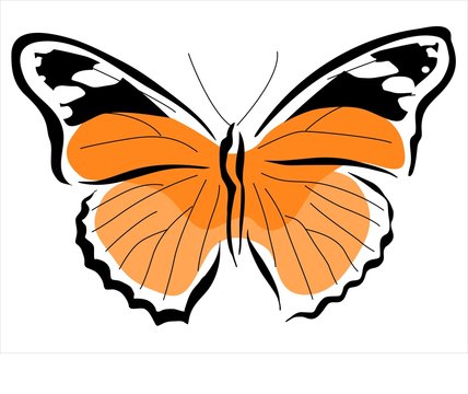 mariposa