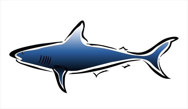 tibur&oacute;n