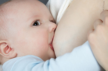 The brown-eyed newborn in a blue jacket sucks a breast