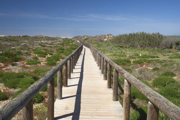 Fototapeta premium Wooden walkway leading to Bordeira Beach, Algarve, Portugal