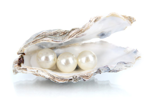 Open oyster with pearls isolated on white