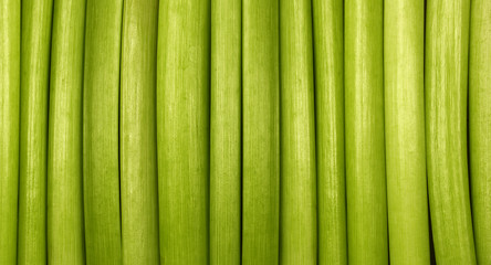 Natural Green Background