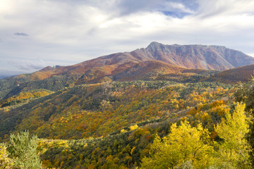 Montseny Natural Park