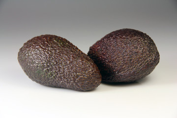 Avocados