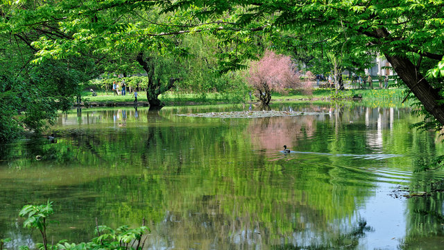 Parco Sempione - Castello Sforzesco - Milano